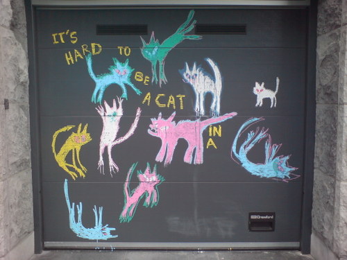 Cat Graffiti